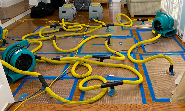 Professional Crawl Space Water Removal technician working in Mazeppa, MN